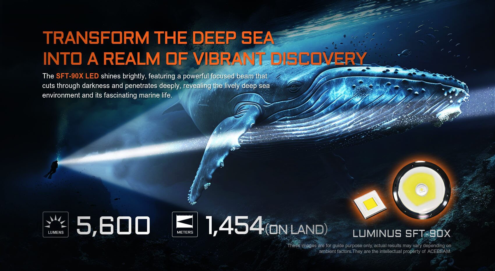 Acebeam D30 Diving Flashlight